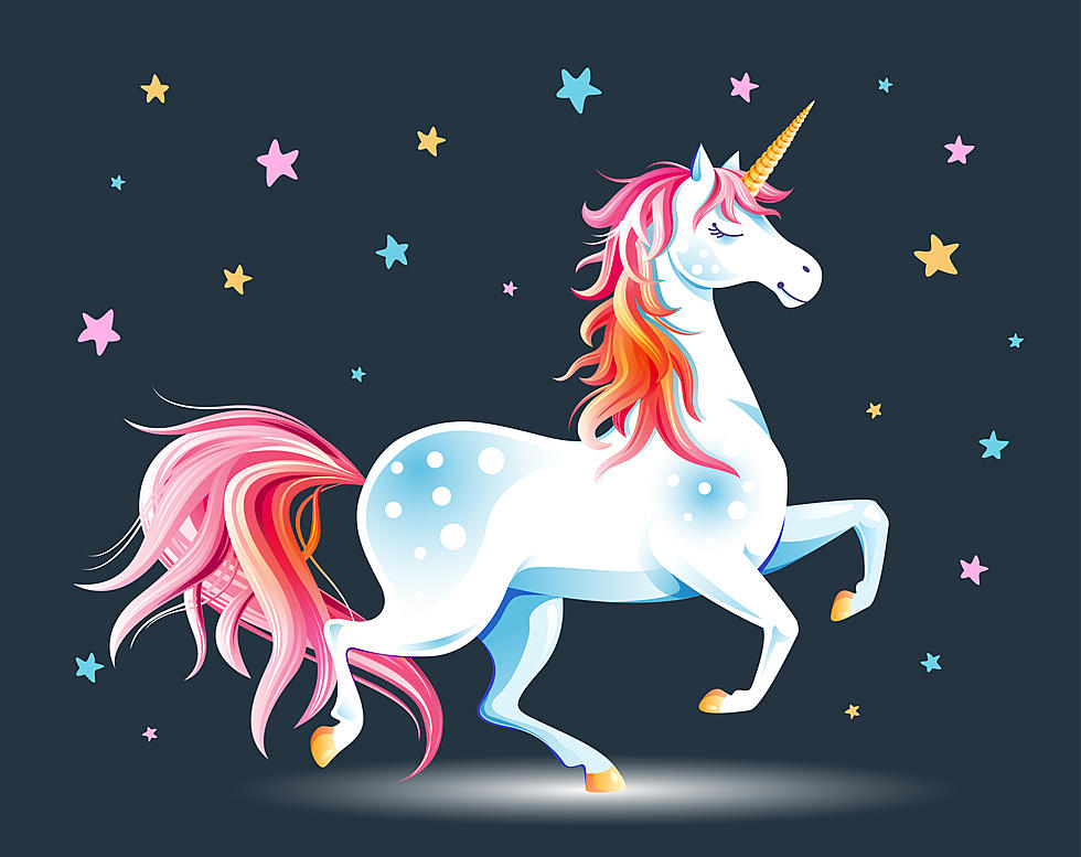How to Get Your Child a Free Unicorn Questing License In Time for National Unicorn Day!
