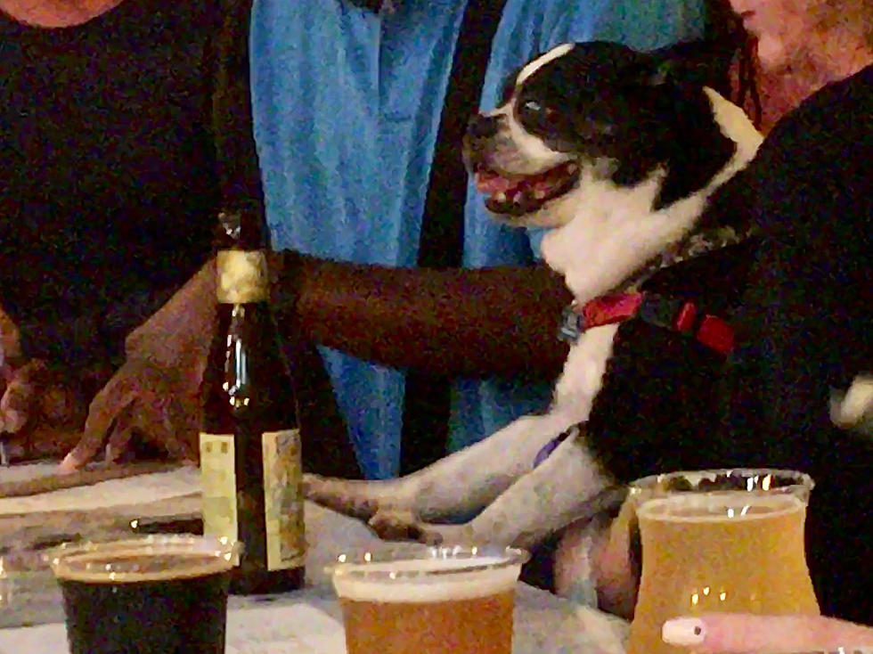 The Wisconsin Bartender Said No To His Dog, and That’s When the Trouble Started