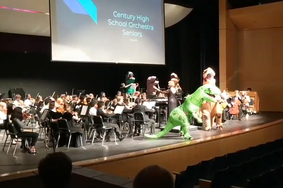 Look!  There Are Animals On Stage At the Century High School Concert (WATCH)