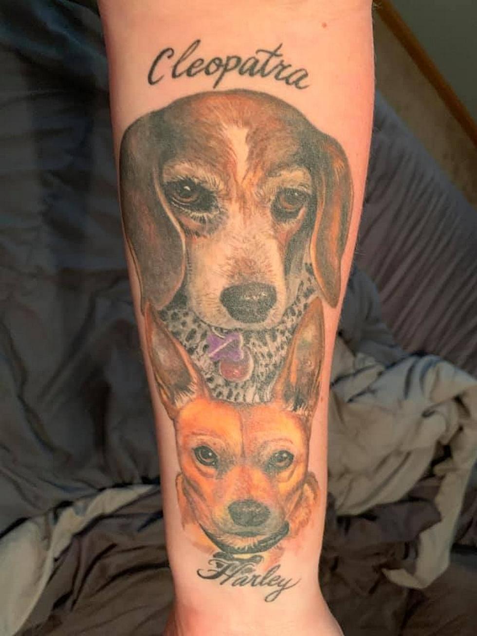 The Dog And Cat Tattoos of Rochester