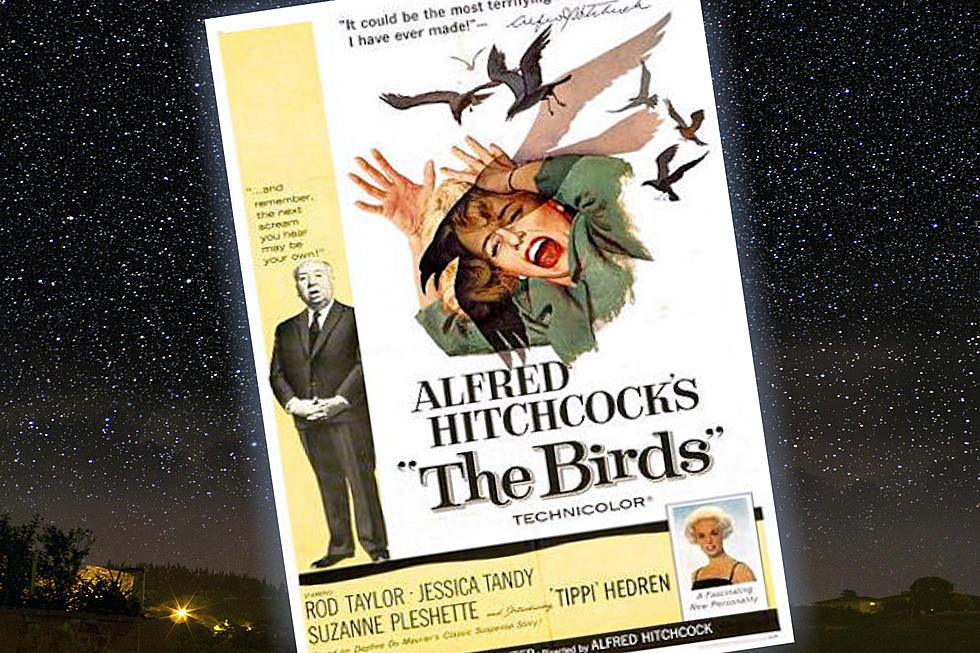 See the Classic Thriller ‘The Birds’ Free In the Park On Saturday the 21st!