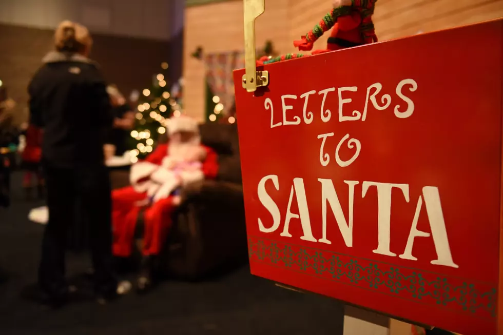 Festival of Trees is Back in Rochester at New Location