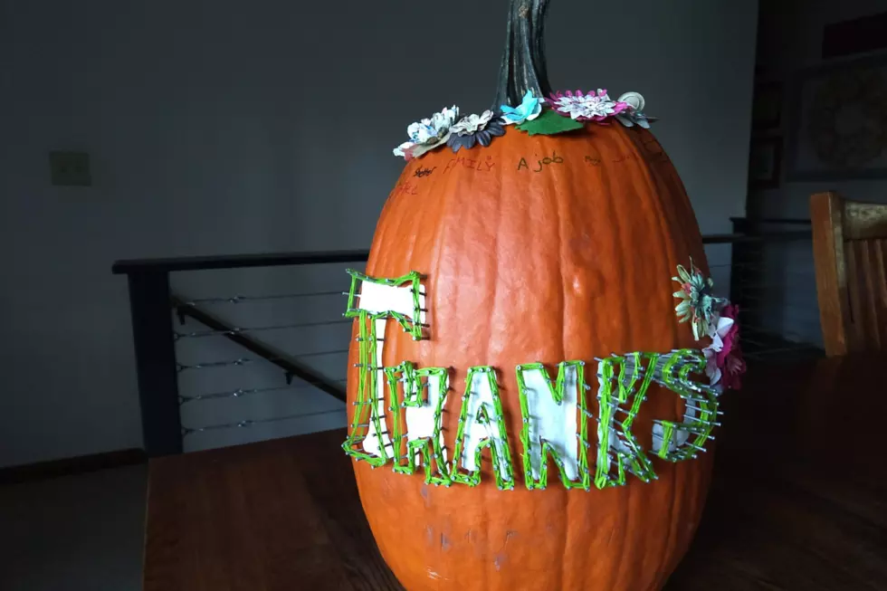 Thankful Pumpkins Are The New Trend For Minnesota Families