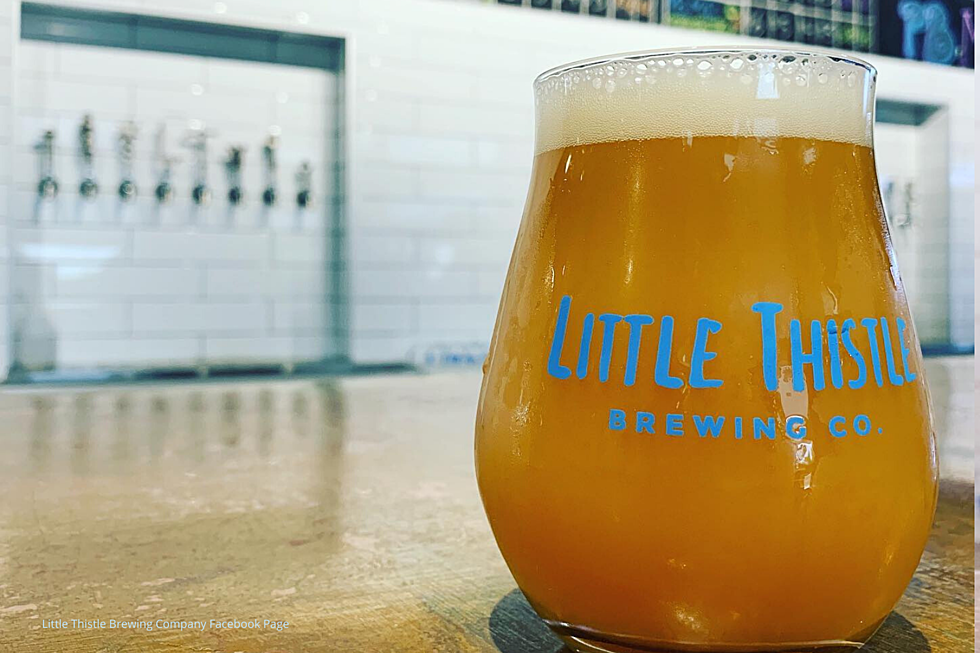 'Donate to Drink' at Little Thistle Brewing Company in Rochester