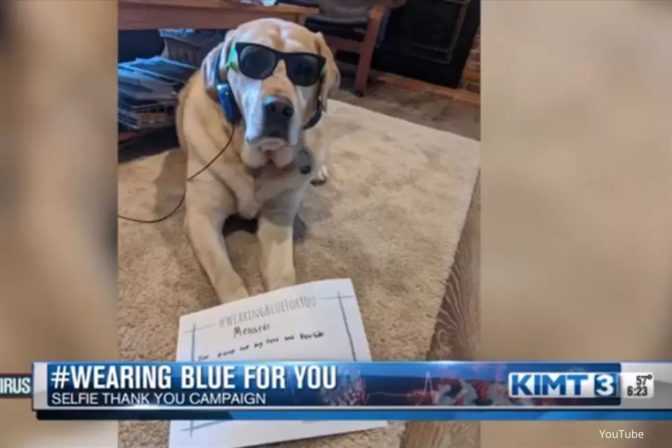 Rochester Dog Thanks Menards And Gets On TV