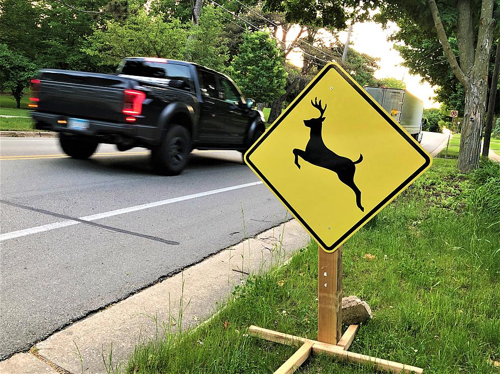 Why You Don’t See Many MnDOT Minnesota Deer Crossing Signs