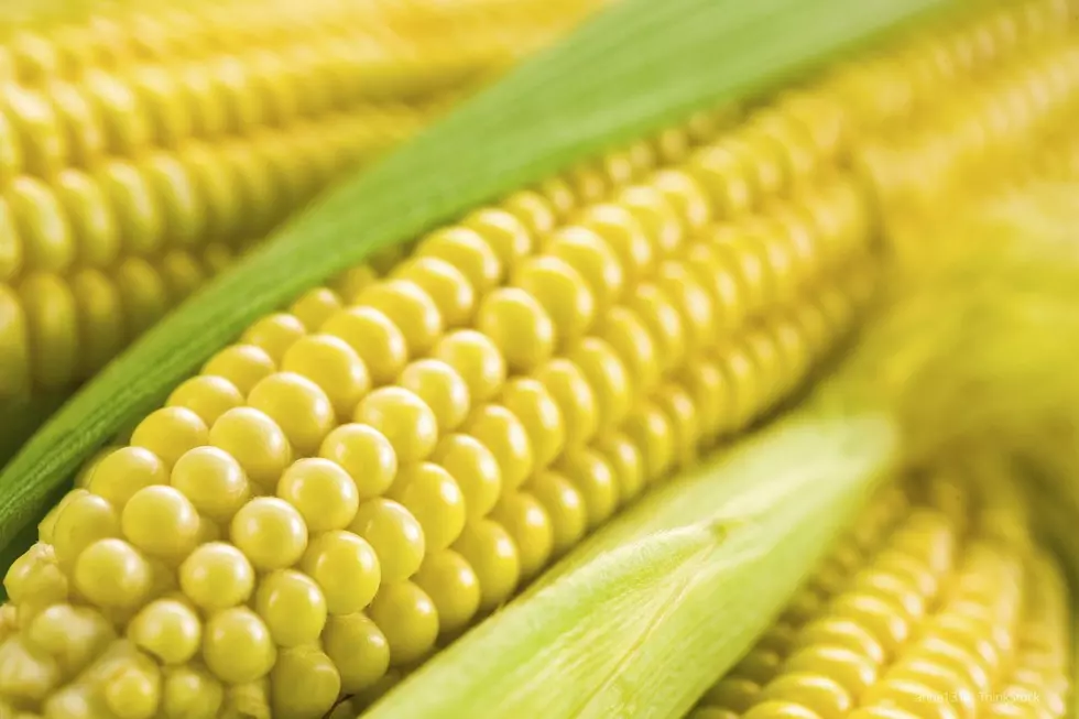 Corn on the Cob Days in Plainview Is Canceled Due To Covid-19