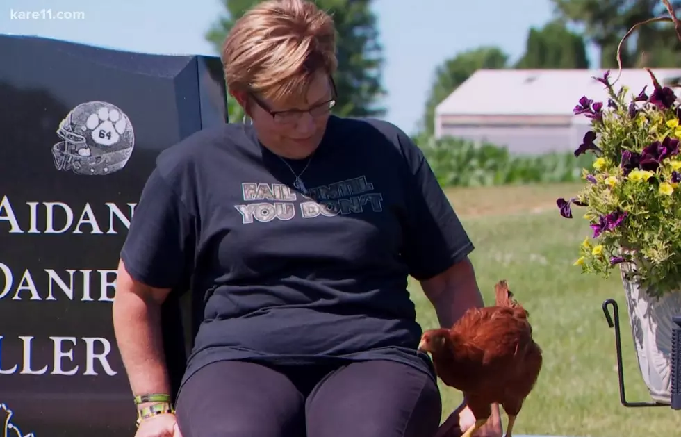 Angel the Chicken Watches Over Kellogg Teen's Grave