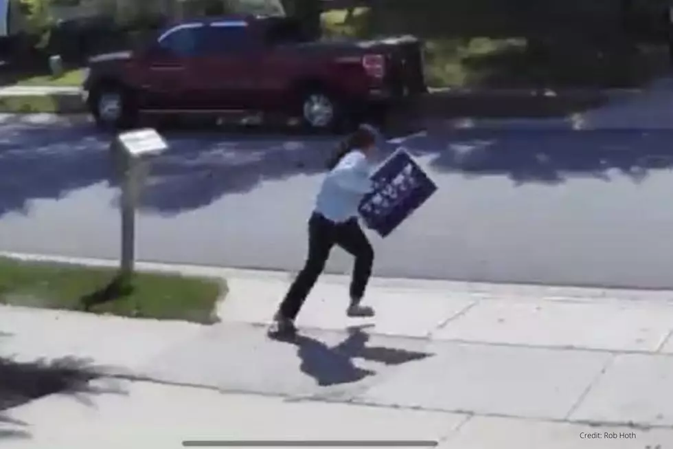 CAUGHT ON VIDEO: Person Steals Trump Signs in Rochester