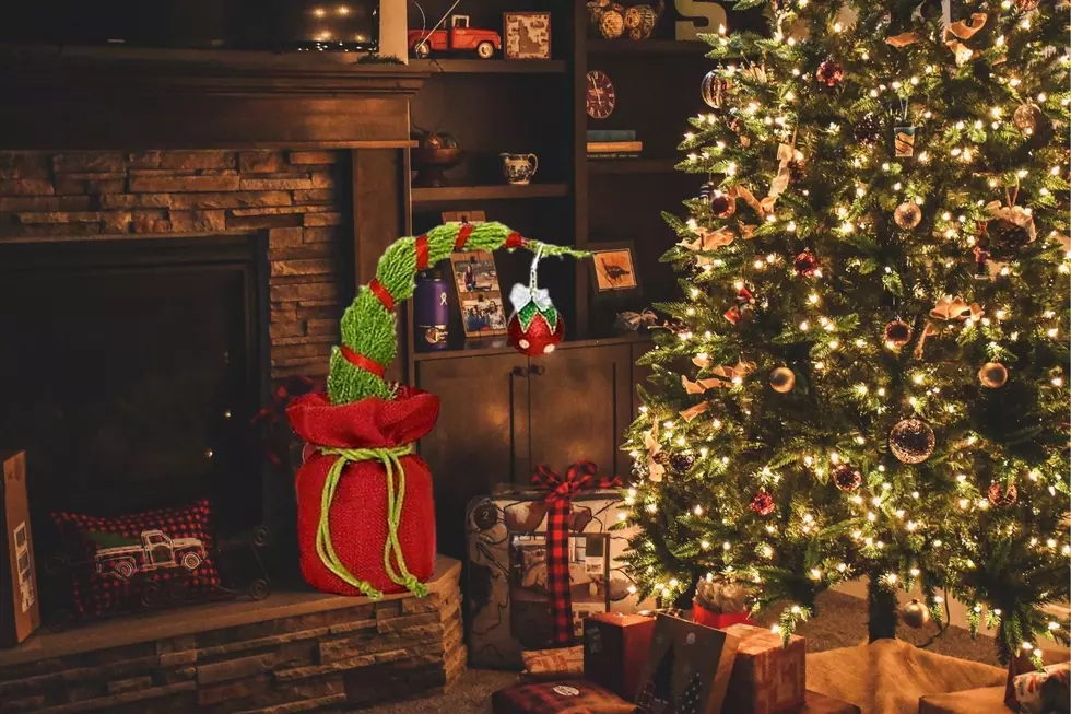 Minnesota Trader Joe’s Selling Grinch Inspired Christmas Trees!