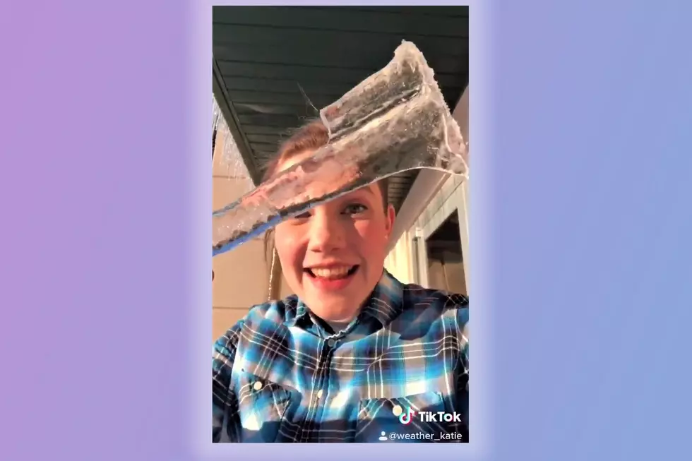 Iowa TikToker's Video Says Don't Eat Bird Poop Filled Icicles
