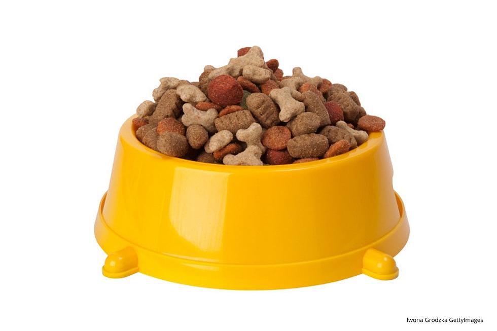 Over 50 Different Types of Dog and Cat Food Have Been Recalled in Minnesota, Iowa, Wisconsin, Illinois