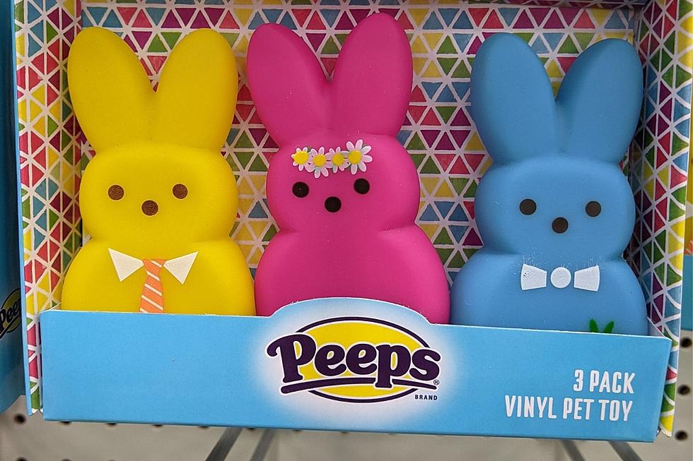 You Can Now Buy Peeps for Your Dog in Rochester