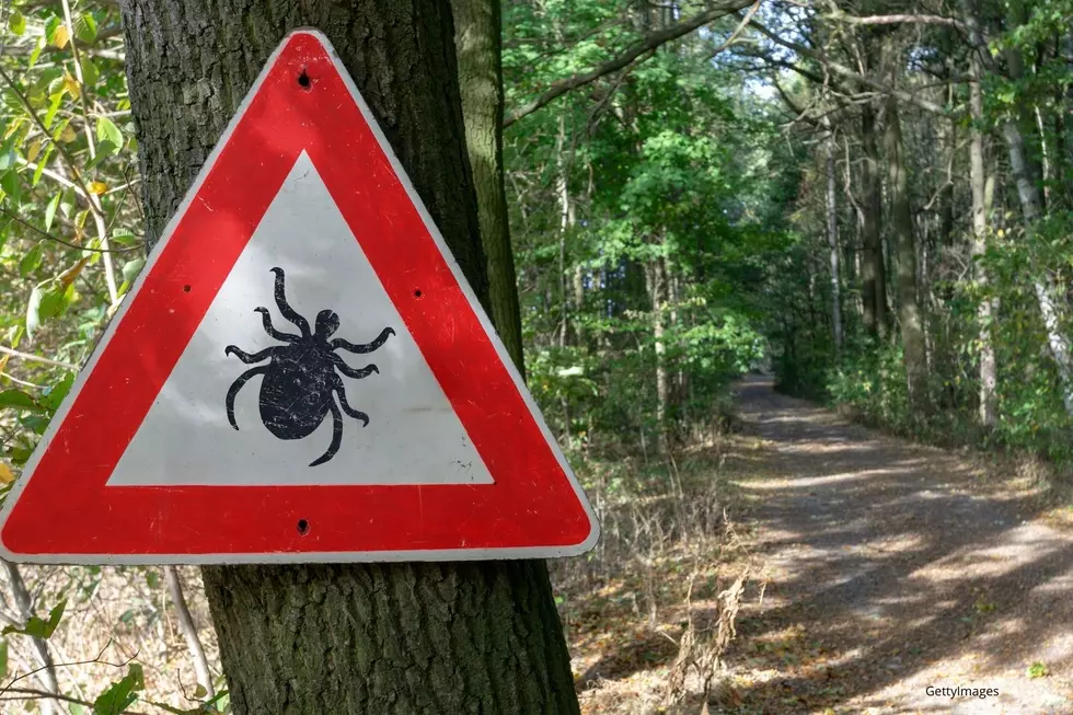 ‘Above Average Threat Level’ Issued for Ticks in Minnesota, Iowa, and Wisconsin