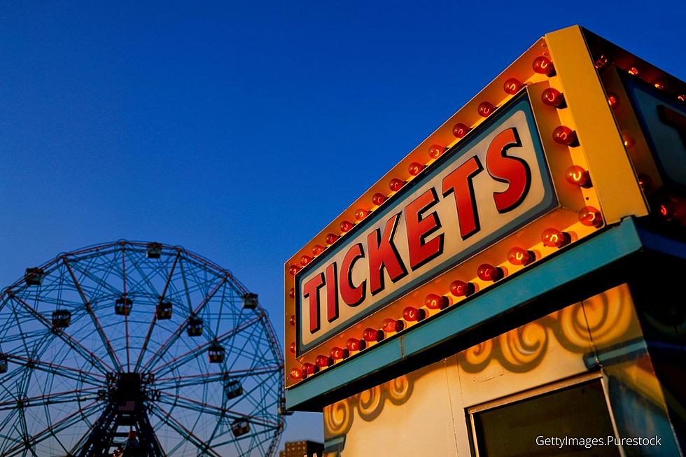 Minnesota's Oldest County Fair is Full of Fun for its 165th Year!