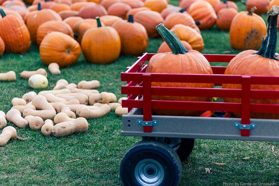10 Perfect Spots Near Rochester to Find The Most Amazing Pumpkin