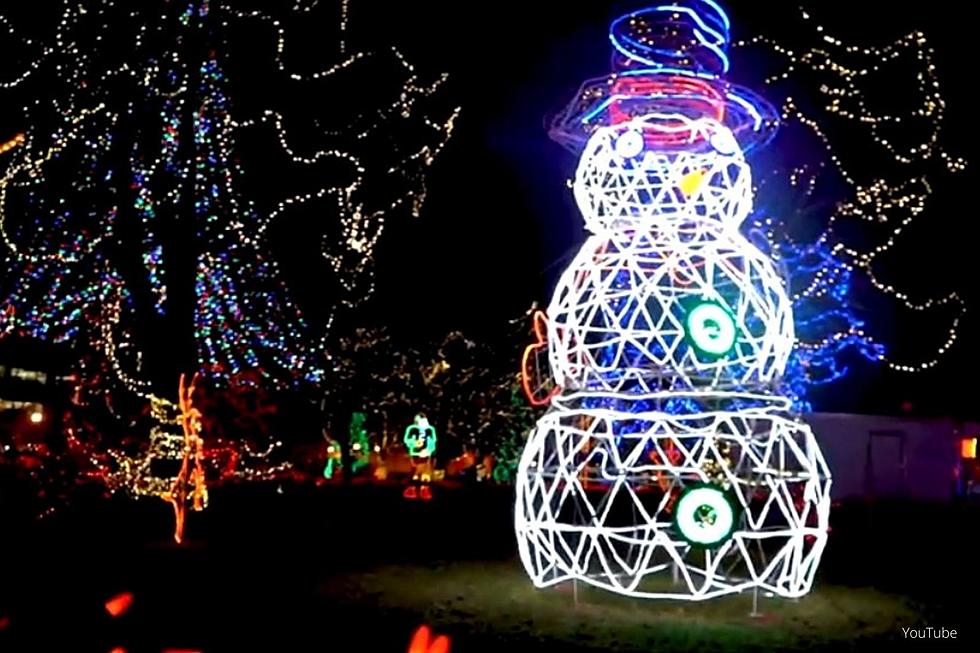 $10,000 Theft Reported at Huge Christmas Light Display an Hour From Rochester