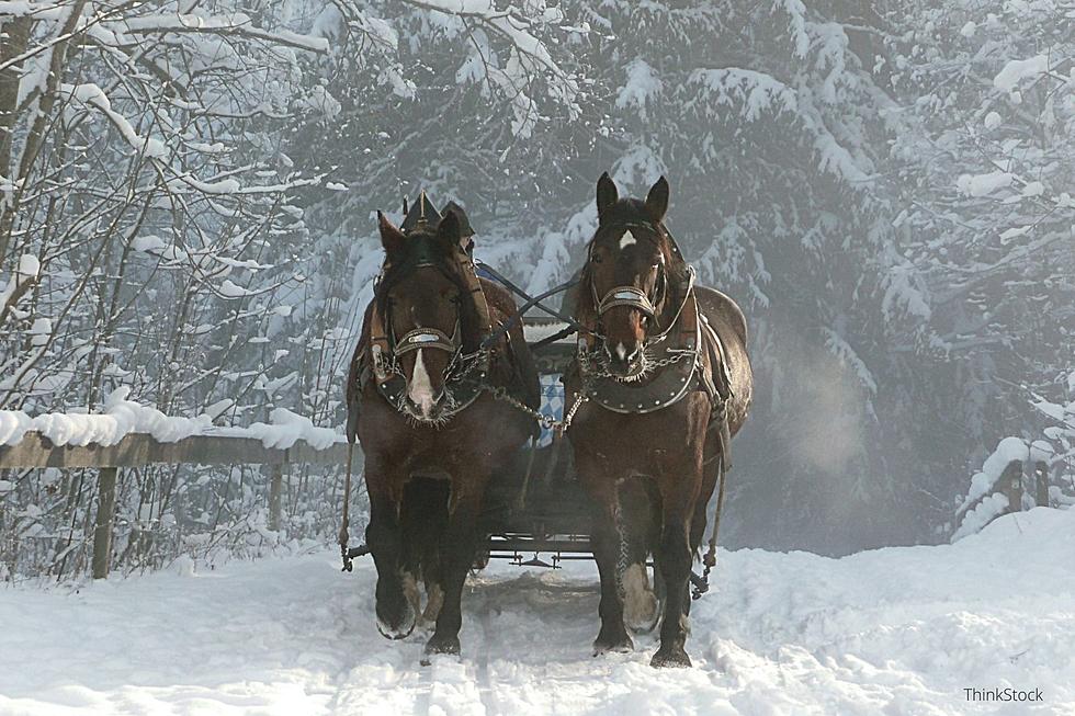 Don&#8217;t Freak Out When You See Horses in Rochester Next Weekend &#8211; Sleigh Rides are Back!