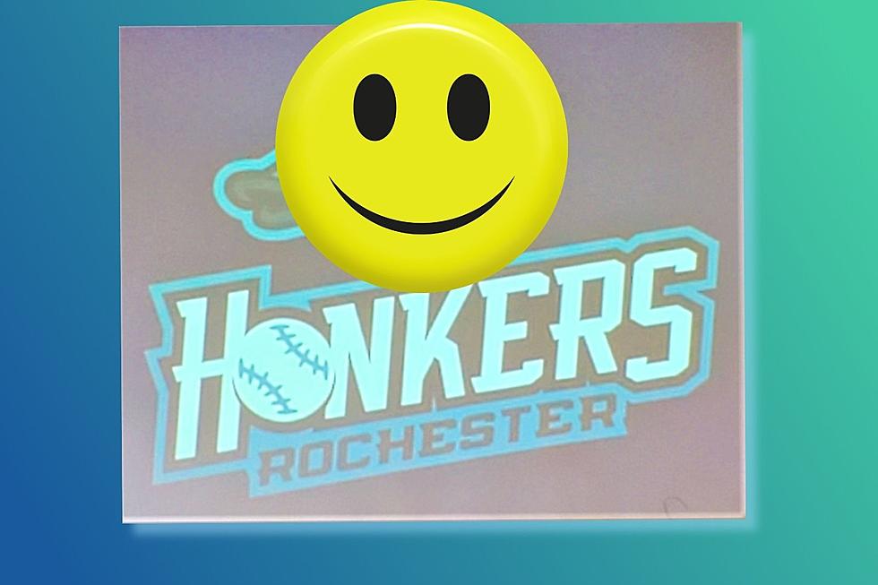 Is the New Rochester Honkers New Logo Awesome or Too Much?