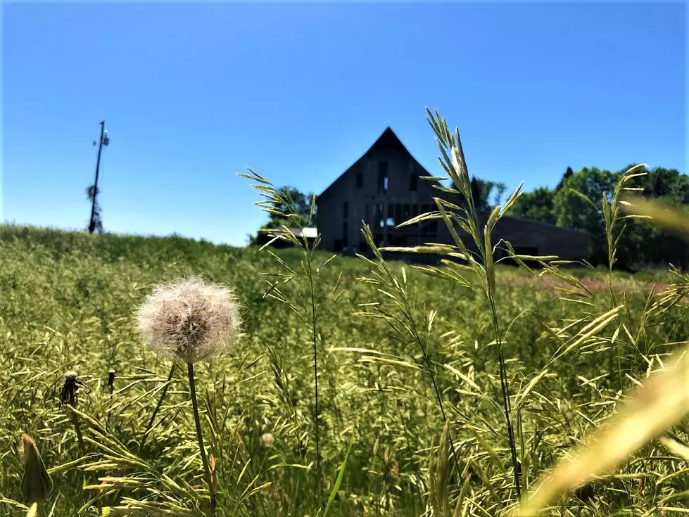 5 Wonderful Things You&#8217;ll Only Hear In Minnesota Farm Country