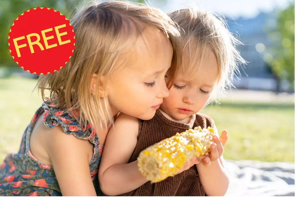 LOVE: 8-10 Tons Of FREE Sweetcorn Sunday In Plainview, MN!