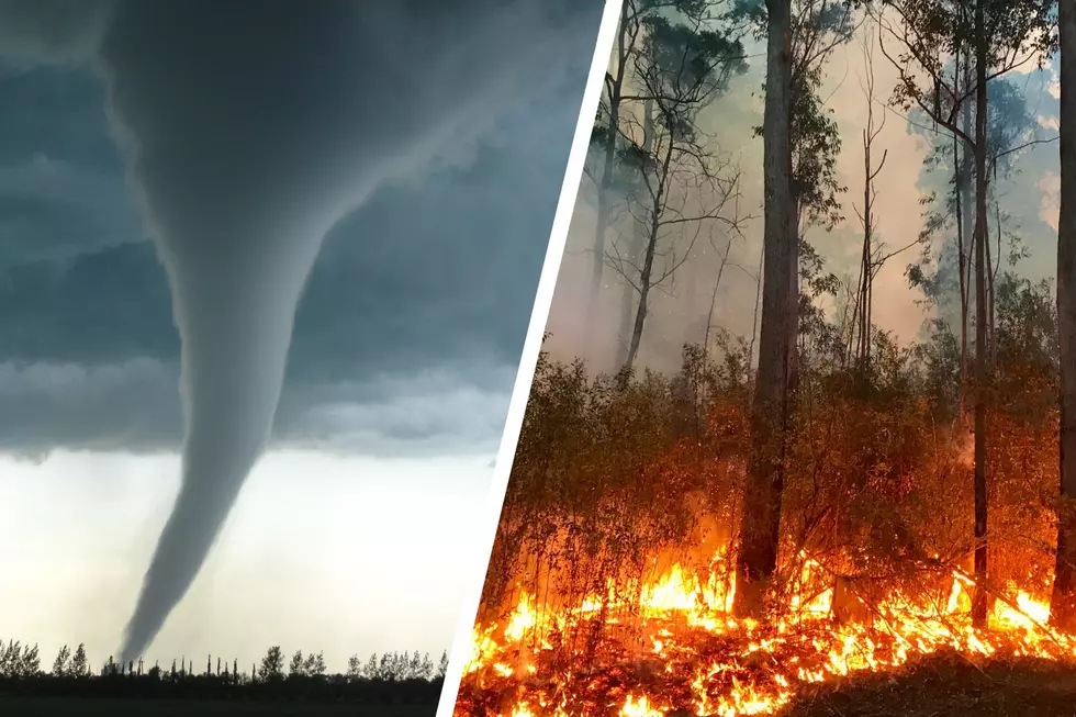 11 of the Biggest Weather Disasters in Minnesota Throughout the Years