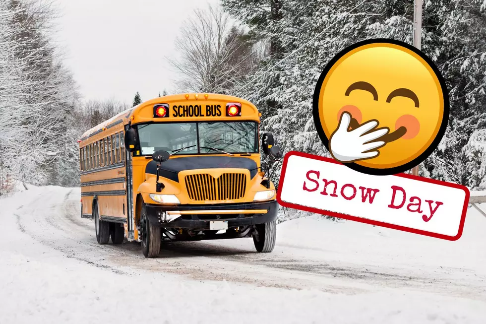 Hilarious Video About Rochester's Snow Day Fail (WATCH)