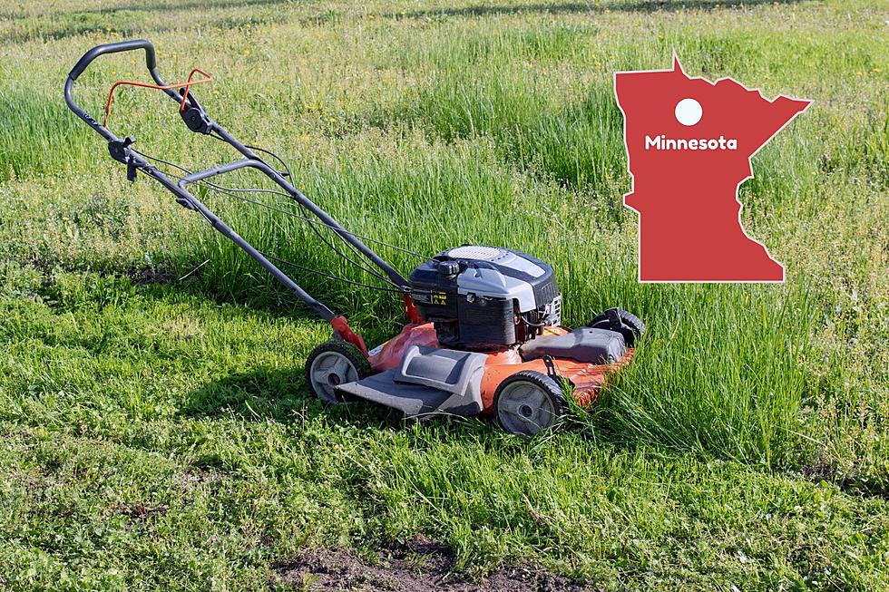 Stop Mowing Lawns Now in Minnesota