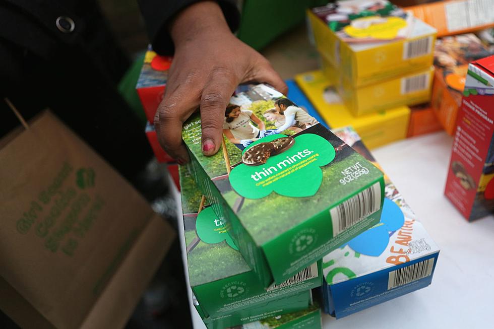Extra Cash Needed Now! Girl Scout Cookies are in Minnesota
