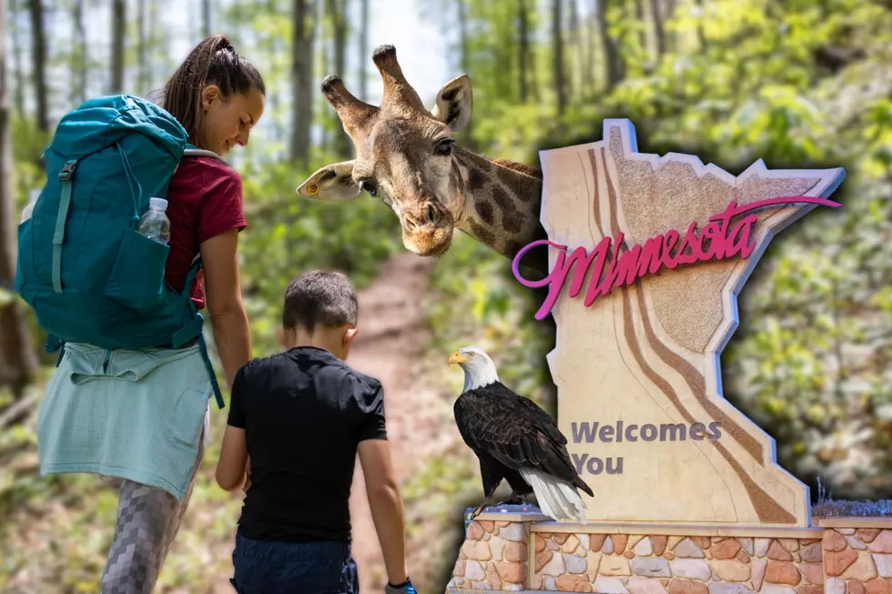 9 Amazing Destinations in Minnesota To Check Out This Summer!