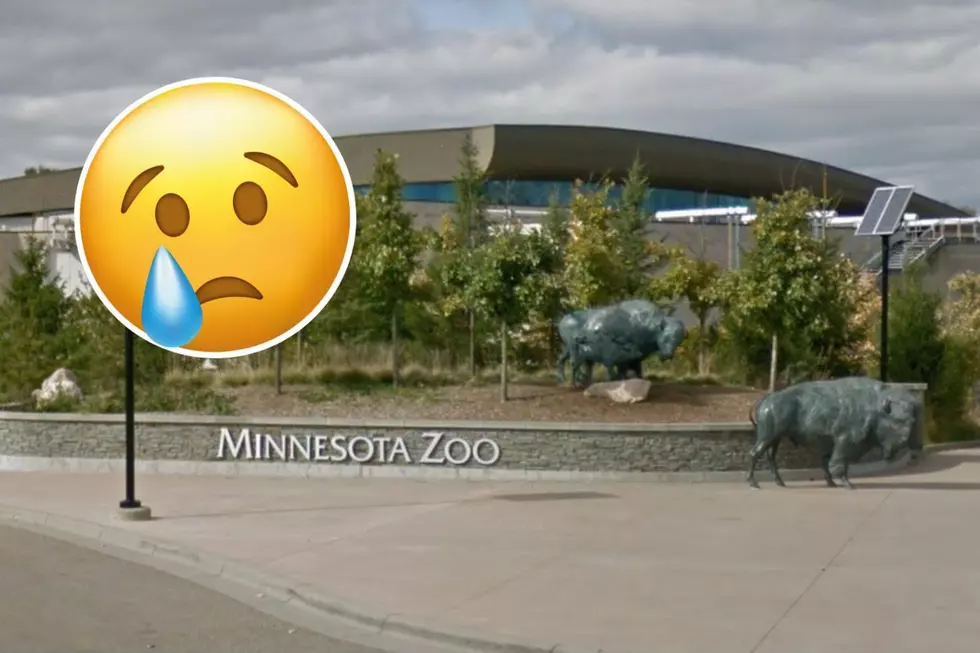Cancer Causes Another Heartbreaking Loss at Popular Zoo in Minnesota