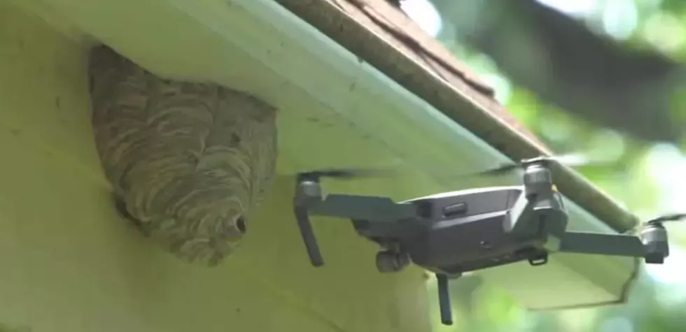 WATCH: Dude Takes Down Backyard Hornets Nest With Drone Strike
