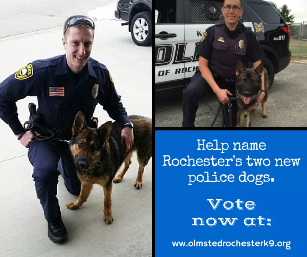 The Rochester K-9 Unit Needs Your Help Naming Their Two New Dogs
