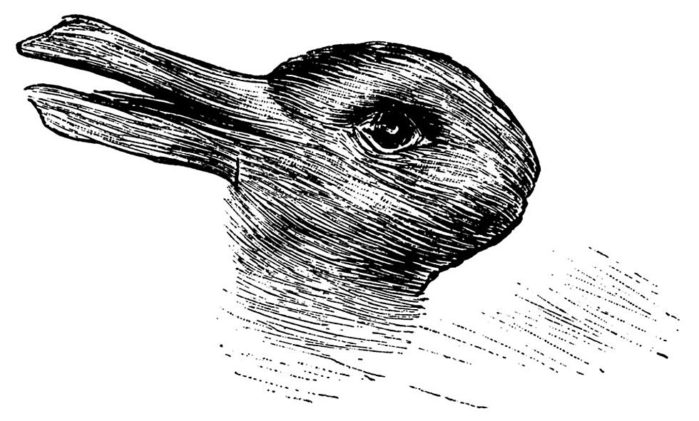 Quick, What Do You See First:  A Duck or a Rabbit?