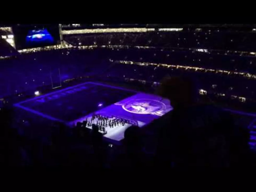 Amazing Prince Tribute at Vikings Game