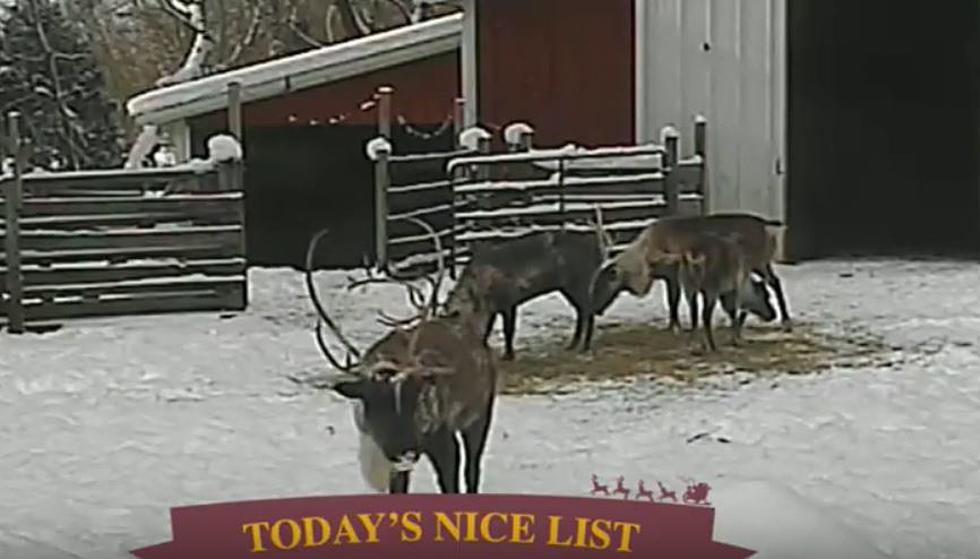 Watch Santa’s Official Reindeer Cam