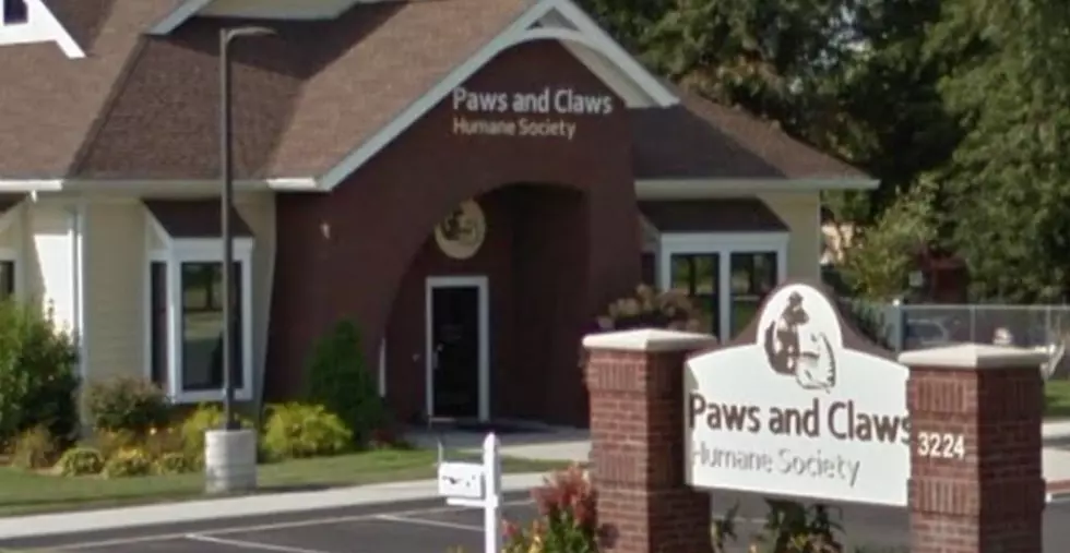 A 2,000 Pound Donation to Paws and Claws in Rochester