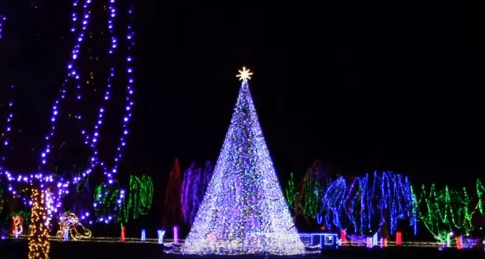 Over 100,000 People Will Flock To See This Minnesota Park Light Up for Christmas