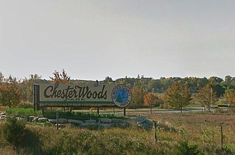 Update On Chester Woods Park, Beach, and Campground
