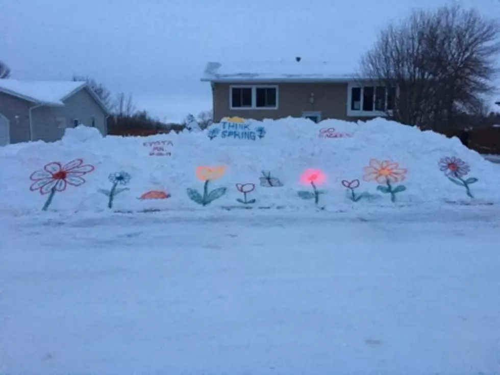 SE Minnesota Resident Creates Touch of Spring Despite Lingering Winter