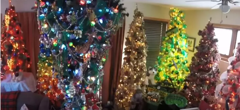 Minnesota Man Has the Most Christmas Spirit… And Trees