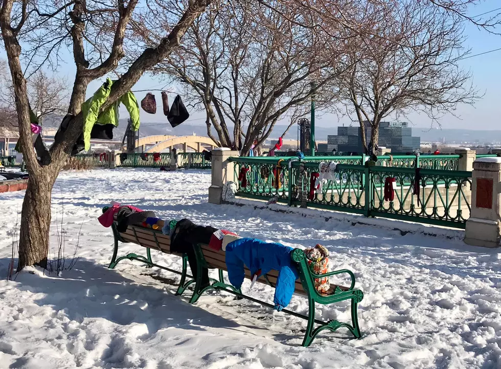 Minnesotans ‘Scarf Bombing’ Parks to Help Homeless Stay Warm