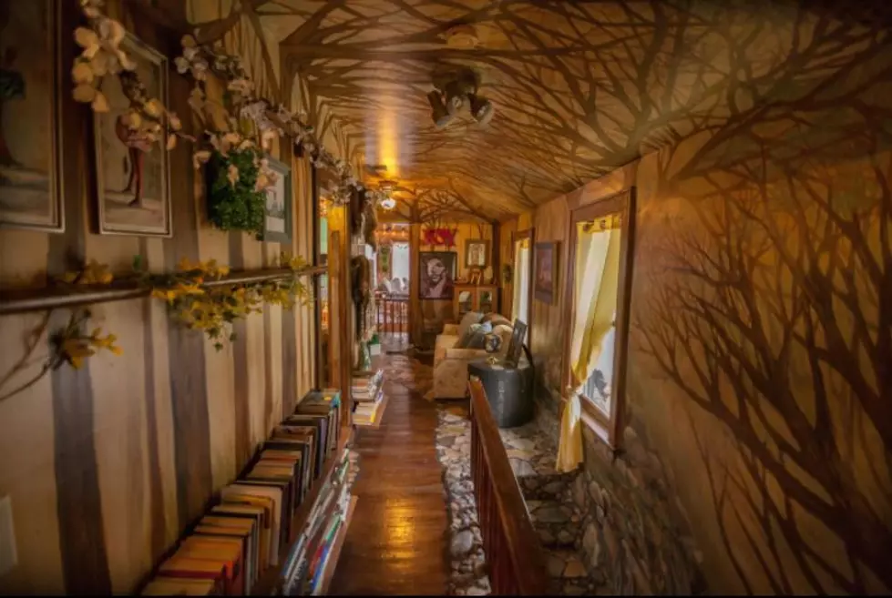 Enchanting &#8216;Wolf House&#8217; Airbnb is the Most Wish-Listed in Minnesota