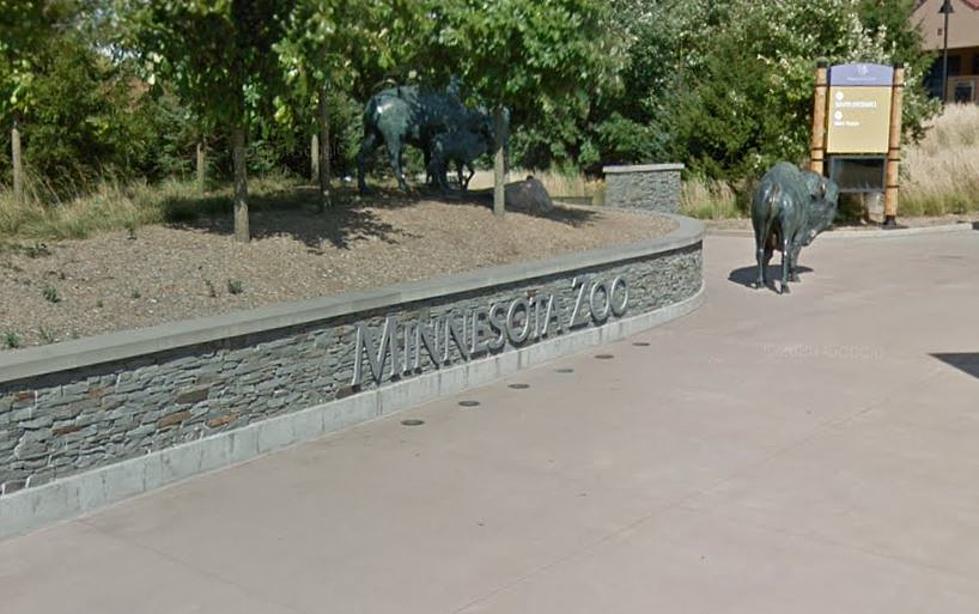 Several Animals On the Loose After Escaping Minnesota Zoo