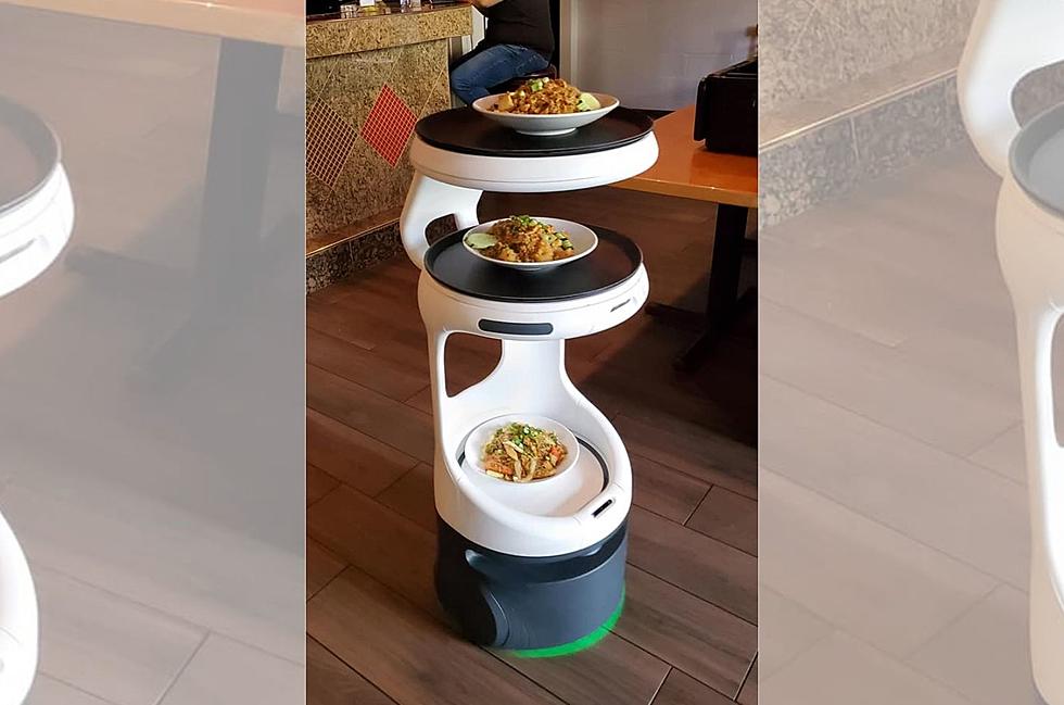 Minnesota’s First Robot Server Was Just Hired at a Minneapolis Restaurant