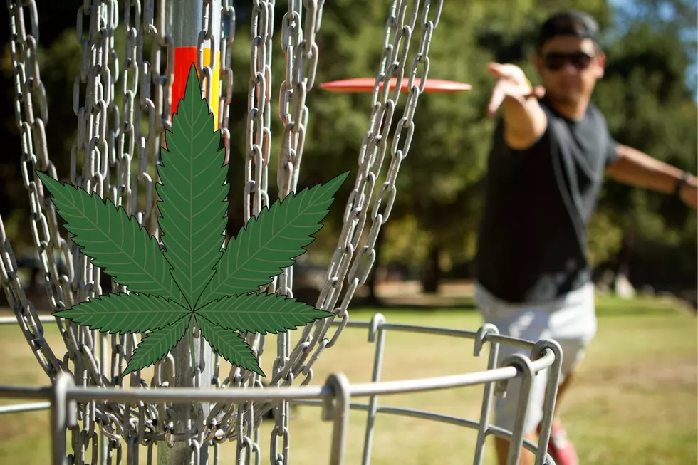 Southeast Minnesota Home to the First Cannabis Disc Golf Course