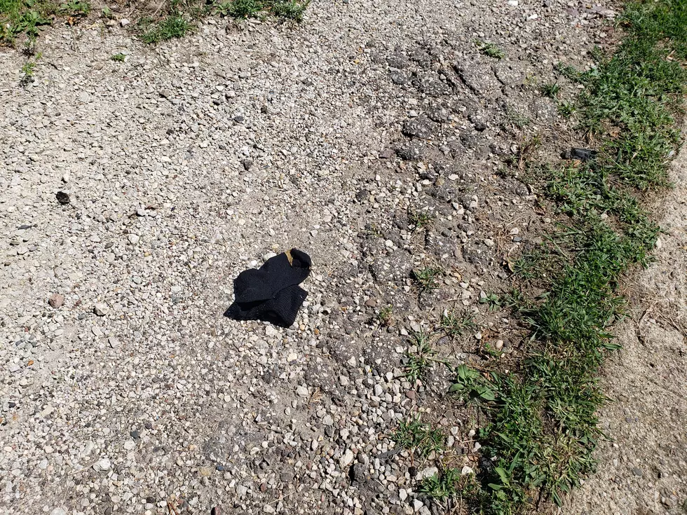 Mystery of the Single Black Socks Found in Rochester