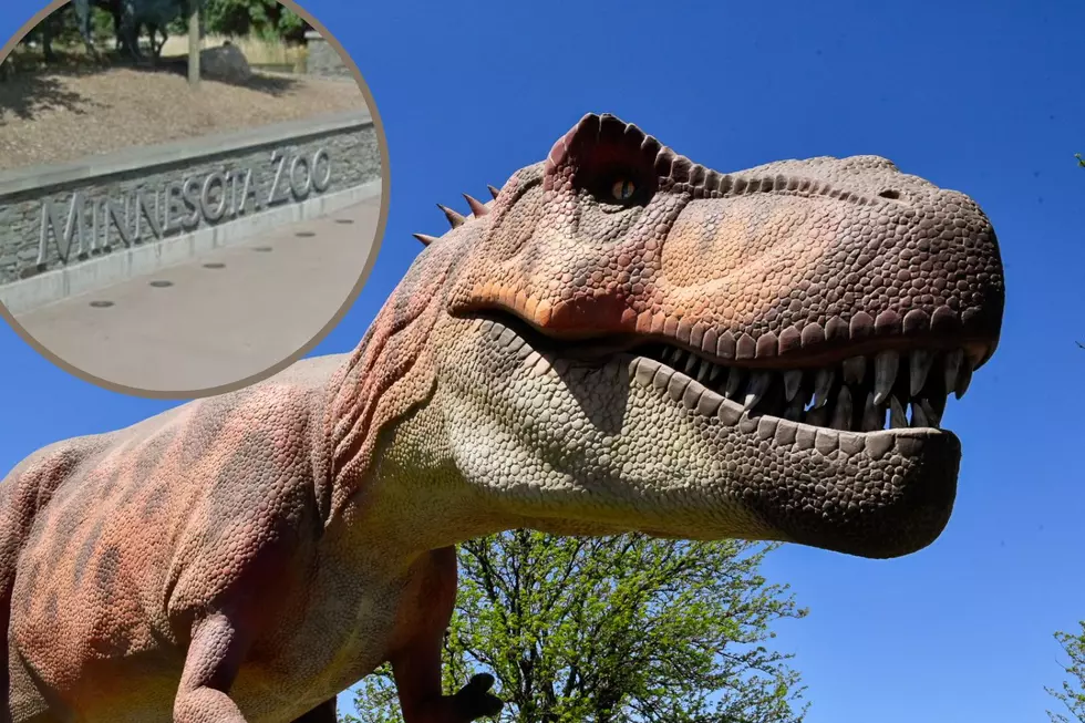 For a Limited Time Visit Dinosaurs at the Minnesota Zoo
