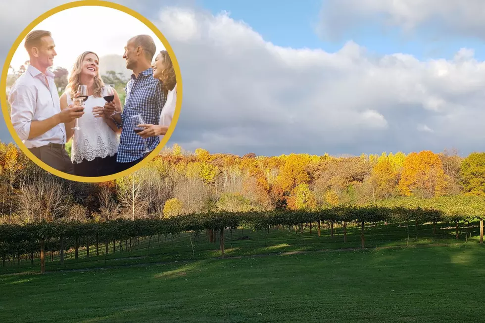 5 Wineries Near Rochester with Amazing Fall Views