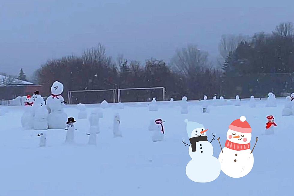Minnesota Schoolyard was Taken Over by 50+ Snowmen